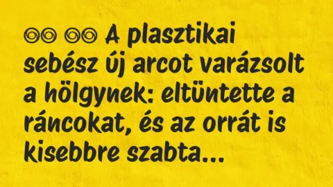 Vicc: Viccek:      A plasztikai sebész új arcot varázsolt a hölgynek…
