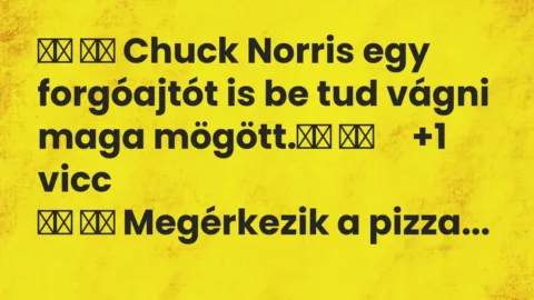 Vicc: Viccek:      Chuck Norris egy forgóajtót is be tud vágni maga …