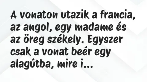 A vonaton utazik a francia, az angol, egy madame és az öreg székely…. – Vicc