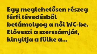 Egy meglehetősen részeg férfi tévedésből betámolyog a női… – Vicc