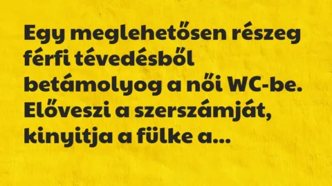 Egy meglehetősen részeg férfi tévedésből betámolyog a női… – Vicc Egy meglehetősen részeg férfi tévedésből betámolyog a női… – Vicc