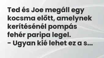 Ted és Joe megáll egy kocsma előtt, amelynek kerítésénél pompás fehér… – Vicc