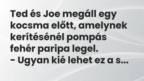 Ted és Joe megáll egy kocsma előtt, amelynek kerítésénél pompás fehér… – Vicc