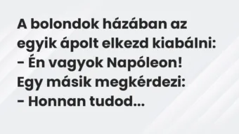 Vicc: A bolondok házában az egyik ápolt elkezd kiabálni:

– Én vagyok…