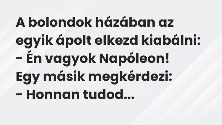 Vicc: A bolondok házában az egyik ápolt elkezd kiabálni:
– Én vagyok… Vicc: A bolondok házában az egyik ápolt elkezd kiabálni:
– Én vagyok…