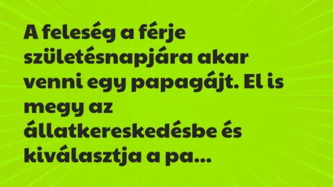 Vicc: A feleség a férje születésnapjára akar venni egy papagájt. El is megy…