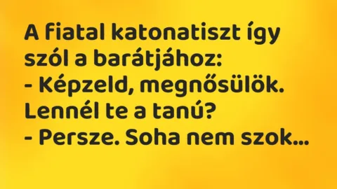 Vicc: A fiatal katonatiszt így szól a barátjához:

– Képzeld,…