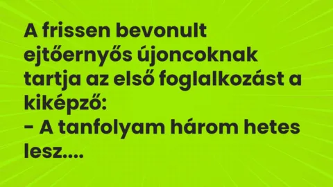 Vicc: A frissen bevonult ejtőernyős újoncoknak tartja az első foglalkozást a…