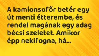 Vicc: A kamionsofőr betér egy út menti étterembe, és rendel magának egy adag…