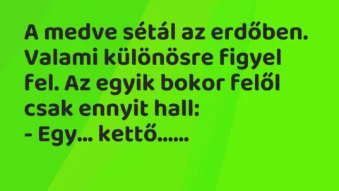 Vicc: A medve sétál az erdőben. Valami különösre figyel fel. Az egyik bokor…