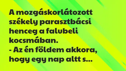Vicc: A mozgáskorlátozott székely parasztbácsi henceg a falubeli…