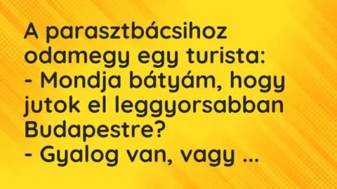 Vicc: A parasztbácsihoz odamegy egy turista:

– Mondja bátyám, hogy…