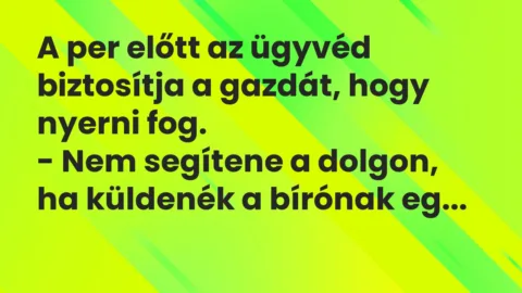 Vicc: A per előtt az ügyvéd biztosítja a gazdát, hogy nyerni fog.
– Nem… Vicc: A per előtt az ügyvéd biztosítja a gazdát, hogy nyerni fog.
– Nem…