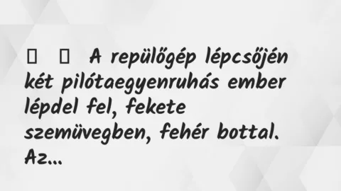 Vicc:
A repülőgép lépcsőjén két pilótaegyenruhás ember lépdel… Vicc:
A repülőgép lépcsőjén két pilótaegyenruhás ember lépdel…