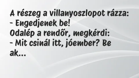 Vicc: A részeg a villanyoszlopot rázza:

– Engedjenek be!

Odalép a…