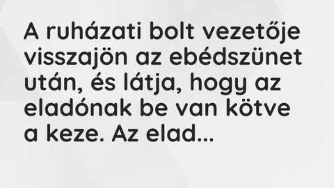 Vicc: A ruházati bolt vezetője visszajön az ebédszünet után, és látja, hogy…