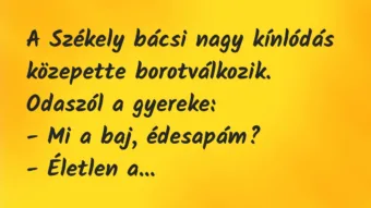 Vicc: A Székely bácsi nagy kínlódás közepette borotválkozik. Odaszól a…