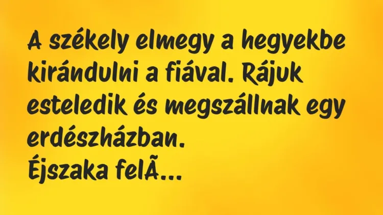 Vicc: A székely elmegy a hegyekbe kirándulni a fiával. Rájuk esteledik és… Vicc: A székely elmegy a hegyekbe kirándulni a fiával. Rájuk esteledik és…