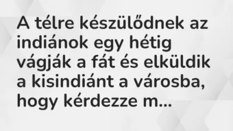 Vicc: A télre készülődnek az indiánok egy hétig vágják a fát és elküldik a…