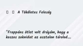 Vicc: 
	    	    A Tökéletes Feleség





„Frappáns ötlet volt…