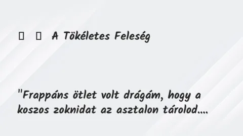 Vicc: 
	    	    A Tökéletes Feleség





„Frappáns ötlet volt…