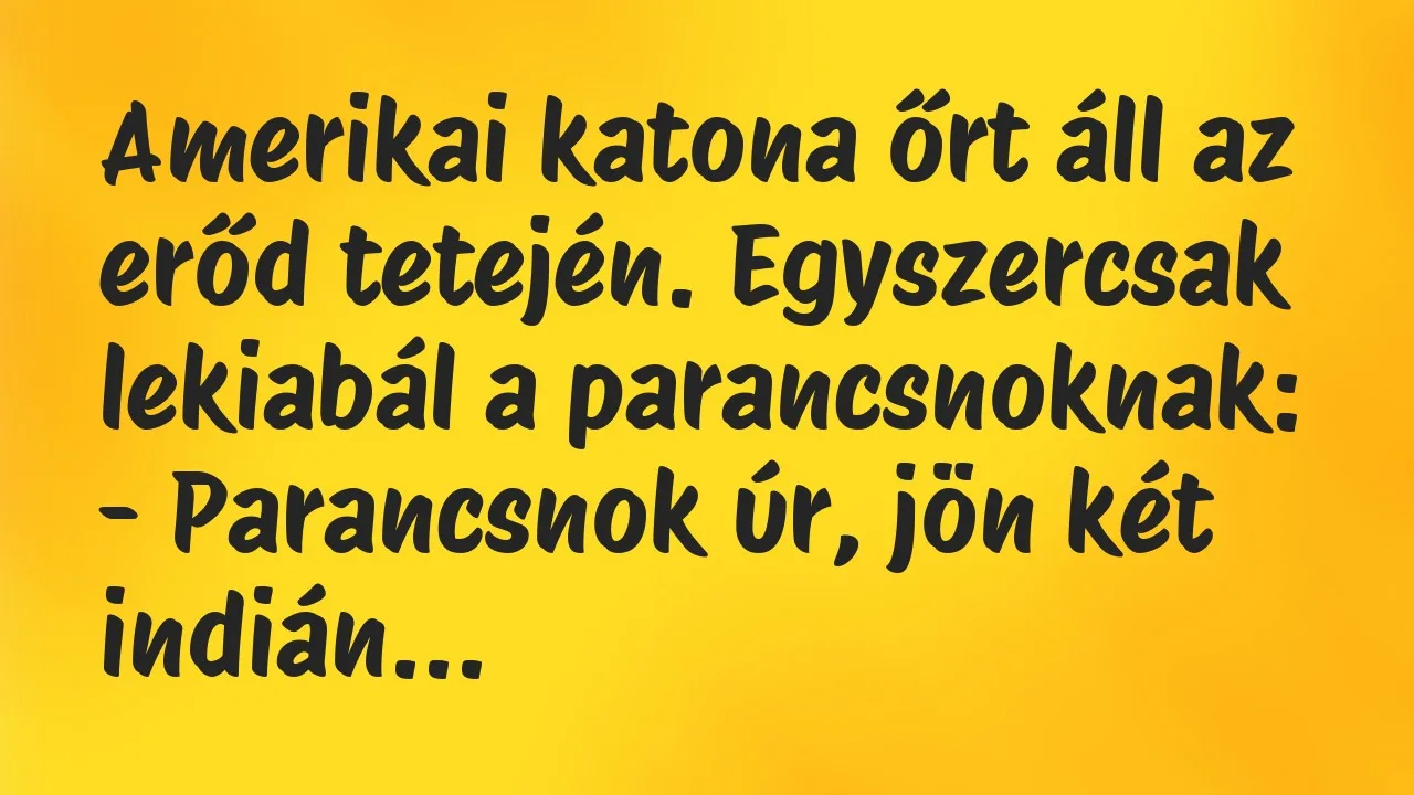 Vicc: Amerikai katona őrt áll az erőd tetején. Egyszercsak lekiabál a…
