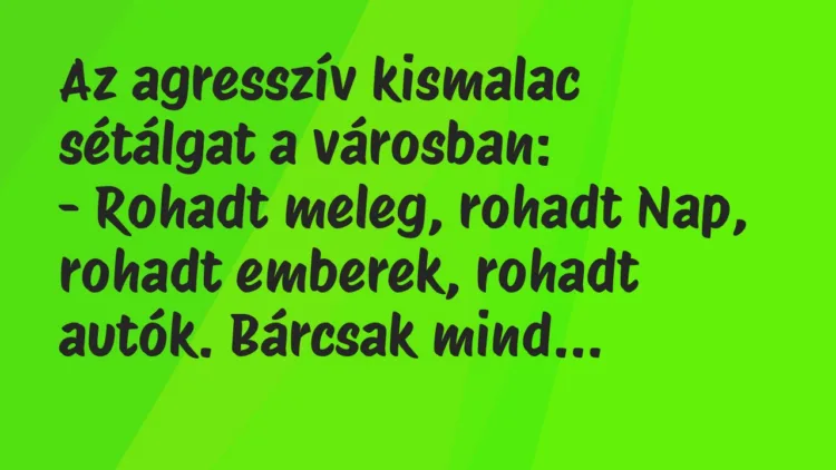 Vicc: Az agresszív kismalac sétálgat a városban:
– Rohadt meleg, rohadt… Vicc: Az agresszív kismalac sétálgat a városban:
– Rohadt meleg, rohadt…