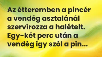 Vicc: Az étteremben a pincér a vendég asztalánál szervírozza a halételt….