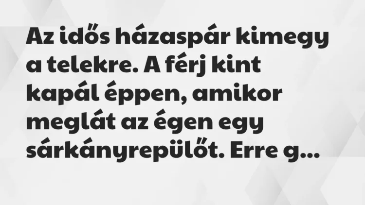 Vicc: Az idős házaspár kimegy a telekre. A férj kint kapál éppen, amikor… Vicc: Az idős házaspár kimegy a telekre. A férj kint kapál éppen, amikor…