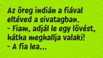 Vicc: Az öreg indián a fiával eltéved a sivatagban.

– Fiam, adjál le…