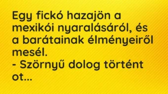 Vicc: Egy fickó hazajön a mexikói nyaralásáról, és a barátainak élményeiről…