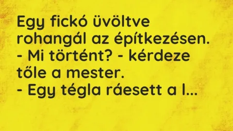 Vicc: Egy fickó üvöltve rohangál az építkezésen.
– Mi történt? -… Vicc: Egy fickó üvöltve rohangál az építkezésen.
– Mi történt? -…