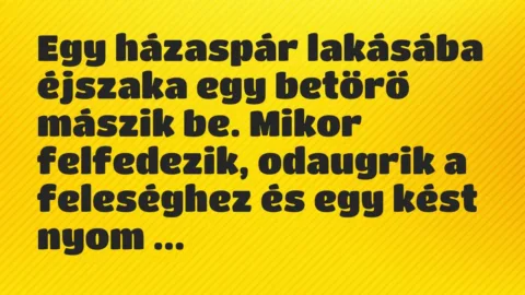 Vicc: Egy házaspár lakásába éjszaka egy betörő mászik be. Mikor felfedezik,…