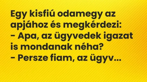Vicc: Egy kisfiú odamegy az apjához és megkérdezi:

– Apa, az ügyvedek…