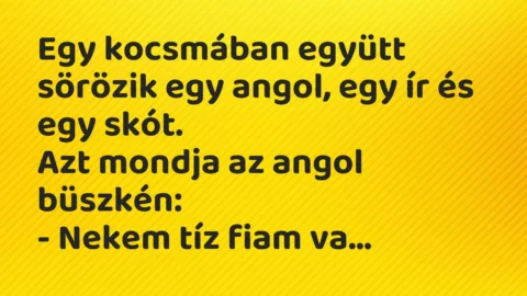 Vicc: Egy kocsmában együtt sörözik egy angol, egy ír és egy skót.

Azt…