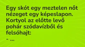 Vicc: Egy skót egy meztelen nőt nézeget egy képeslapon. Kortyol az előtte…