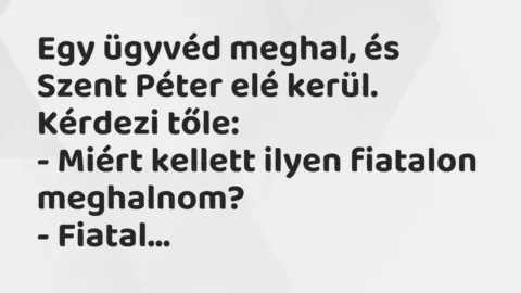 Vicc: Egy ügyvéd meghal, és Szent Péter elé kerül. Kérdezi tőle:

-…