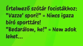Vicc: Értelmező szótár focistákhoz:

„Vazze’ spori!” = Nincs igaza bíró…