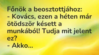 Vicc: Főnök a beosztottjához:

– Kovács, ezen a héten már ötödször…