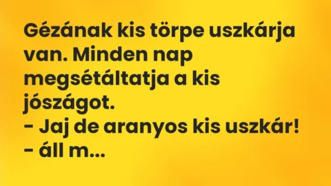 Vicc: Gézának kis törpe uszkárja van. Minden nap megsétáltatja a kis…