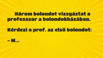 Vicc: 
	    	    Három bolondot vizsgáztat a professzor a…