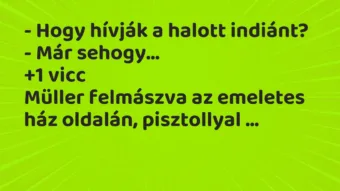 Vicc: – Hogy hívják a halott indiánt?

– Már sehogy…