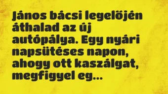 Vicc: János bácsi legelőjén áthalad az új autópálya. Egy nyári napsütéses…