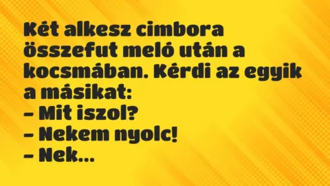 Vicc: Két alkesz cimbora összefut meló után a kocsmában. Kérdi az egyik a…