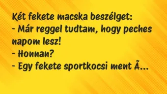 Vicc: Két fekete macska beszélget:

– Már reggel tudtam, hogy peches…