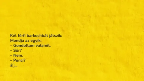 Vicc: Két férfi barkochbát játszik
