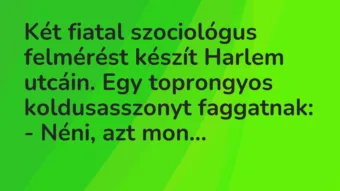 Vicc: Két fiatal szociológus felmérést készít Harlem utcáin. Egy toprongyos…