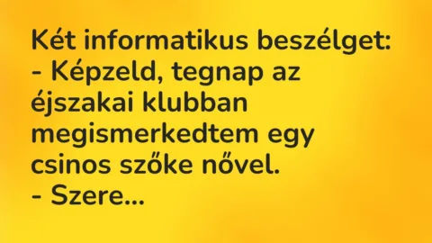 Vicc: Két informatikus beszélget:
– Képzeld, tegnap az éjszakai klubban… Vicc: Két informatikus beszélget:
– Képzeld, tegnap az éjszakai klubban…