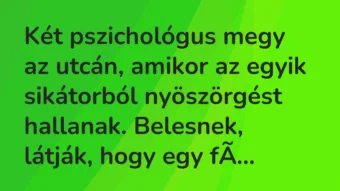 Vicc: Két pszichológus megy az utcán, amikor az egyik sikátorból nyöszörgést…