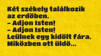 Vicc: Két székely találkozik az erdőben.

– Adjon Isten!

– Adjon…